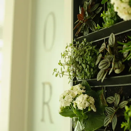 拉波罗瓦住宿加早餐旅馆 酒店