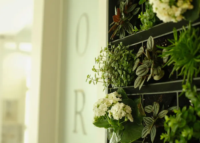 拉波罗瓦住宿加早餐旅馆 酒店