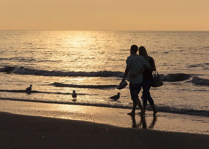 La Paulowna Boutique